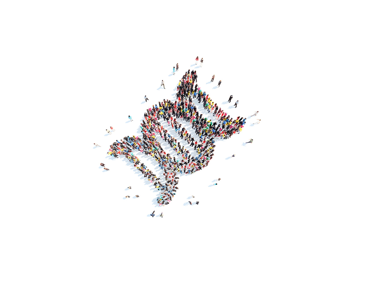 DYKONDNA2
